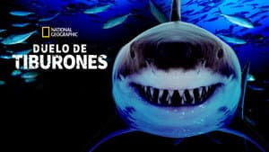 Great Shark Chow Down — foto 6