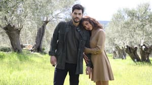 Yaban Çiçekleri — foto 2