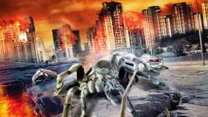 Aracno Terremoto — foto 1