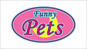 Funny Pets — foto 1