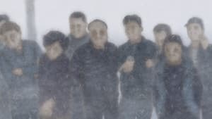 In the Mist — foto 1