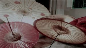 芬芳寶島系列精選 — foto 2