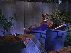 Episodio 11