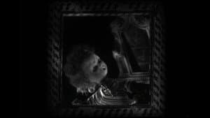 Alice in Not So Wonderland — foto 5
