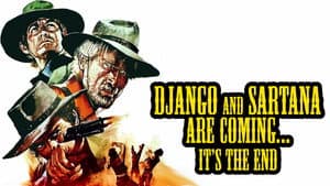 Arrivano Django e Sartana... è la fine — foto 5