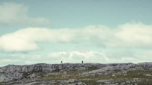 The North — foto 1