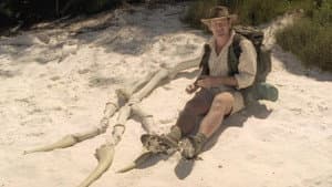Walking With Dinosaurs Special: The Giant Claw — foto 3