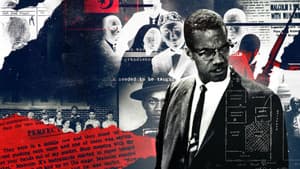 ¿Quién mató a Malcolm X? — foto 1