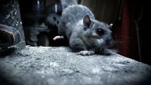 Wild Tales From The Village — foto 2
