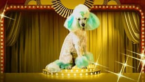 Haute Dog — foto 1
