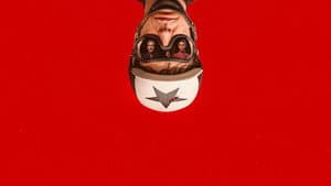 El jockey — foto 1