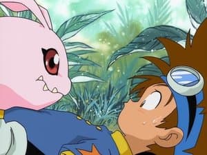 La isla de las aventuras