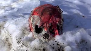 Camp Blood First Slaughter — foto 2