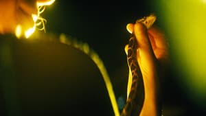The Python Hunt — foto 5