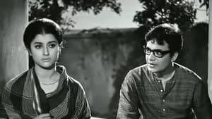 এখানে পিঞ্জর — foto 2