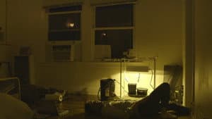 Indoor Garden — foto 3