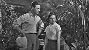 Suikerfreule — foto 1