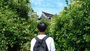 어제의 바람 — foto 4