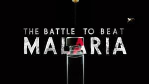 La batalla contra la malaria — foto 1