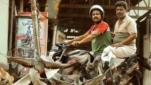 സൗദി വെള്ളക്ക — foto 1