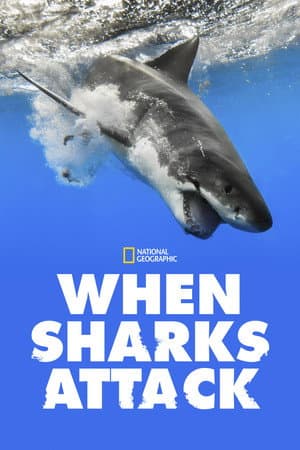 Temporada 7
