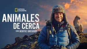 Animales de cerca con Bertie Gregory — foto 10
