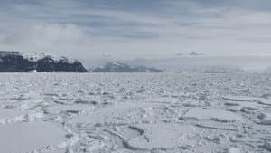 Antarctica in a Warming World — foto 1