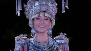 宋祖英 - 2009魅力·中国鸟巢夏季音乐会 — foto 2