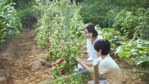 かくしごと — foto 2