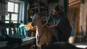 Війна очима тварин — foto 7