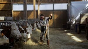 Cyrille, agriculteur, 30 ans, 20 vaches, du lait, du beurre, des dettes — foto 2