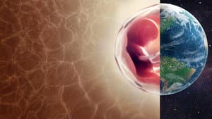 Cuerpo humano: Un mundo entrañable — foto 4