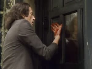 Episodio 14