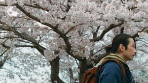 大いなる不在 — foto 1