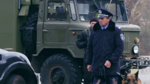 Безсмертник — foto 4