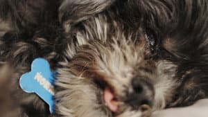 Norman Norman — foto 3