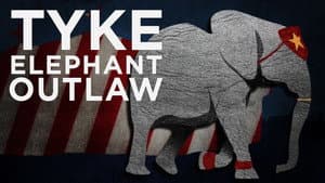 Tyke Elephant Outlaw — foto 1