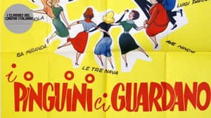I pinguini ci guardano — foto 1