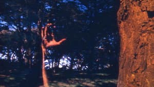 FFFTCM — foto 1