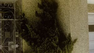 Arbor Vitae — foto 1