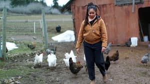Farm Dreams — foto 6