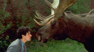Northern Exposure — foto 1