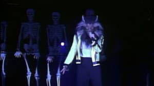 Michael Jackson: HIStory Tour Live in Brunei — foto 4