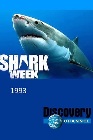 Temporada 6