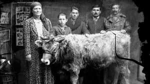 Ţara Moartă: fragmente de vieţi paralele — foto 1