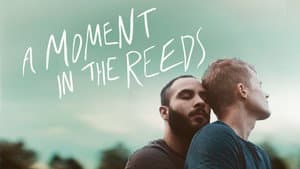 A Moment in the Reeds — foto 3