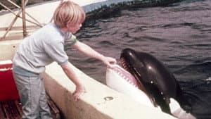 A Whale of a Tale — foto 1