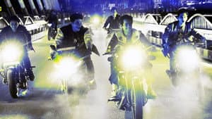 యుఫోరియా — foto 3