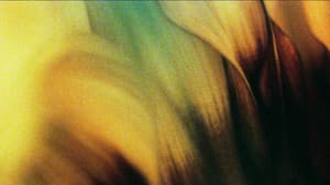 Glide of Transparency — foto 1