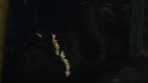 Evie — foto 1